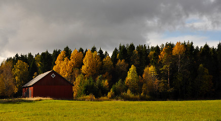 Image showing Forest in fall, with barn. 