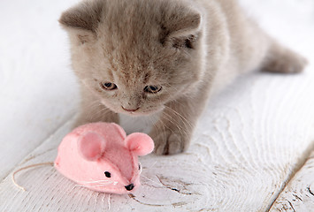 Image showing kitten and pink mouse