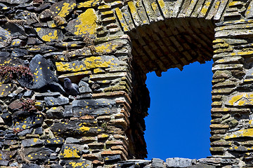 Image showing  old window flower and pigeons