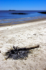 Image showing bonfire and beach