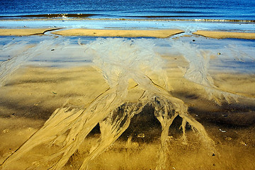 Image showing abstract in beach 