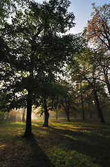 Image showing Autumn Morning Light