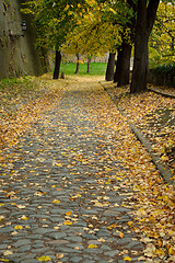 Image showing Autumn Walk Road