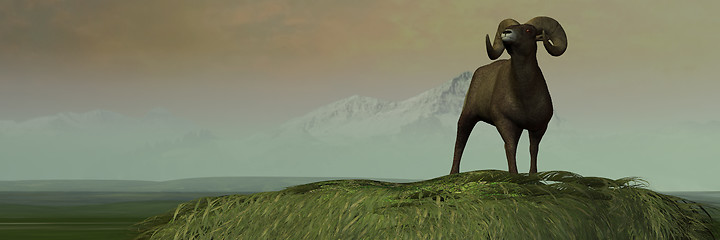 Image showing Big Horn Sheep on Bluff