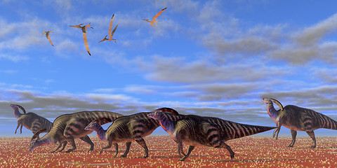 Image showing Parasaurolophus Desert