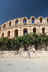 Image showing Graffiti on the Coliseum