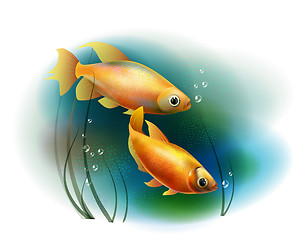 Image showing couple of goldfish in the sea