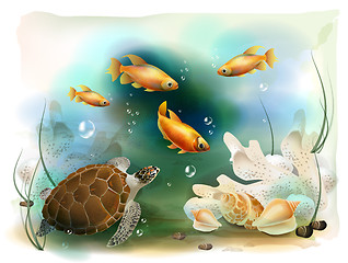 Image showing illustration of the tropical underwater world