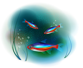 Image showing neon fish in the sea