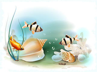 Image showing illustration of the tropical underwater world