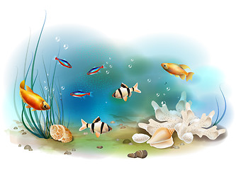Image showing illustration of the tropical underwater world