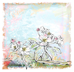 Image showing sketch of apple tree in bloom