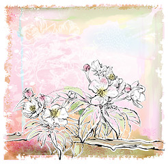 Image showing sketch of apple tree in bloom