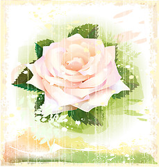 Image showing vintage illustration of pink rose