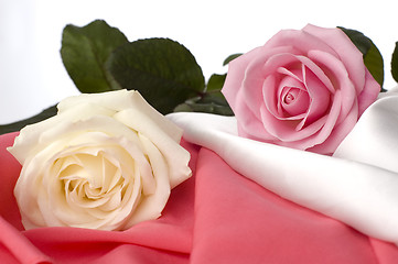 Image showing roses