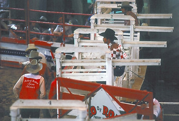 Image showing Rodeo chutes