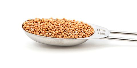 Image showing Mustard seeds measured in a metal tablespoon