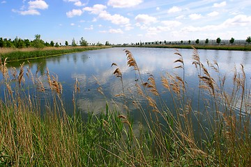 Image showing Dutch landscape