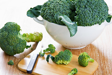 Image showing Broccoli