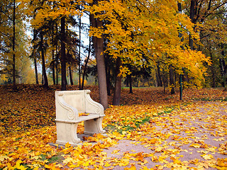 Image showing Ancient bench in autumn park