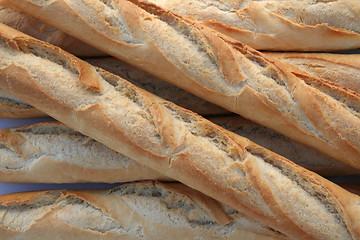 Image showing Spanish baguettes