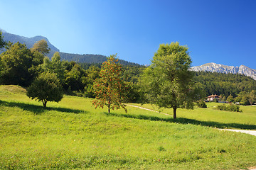 Image showing Alpine landscape