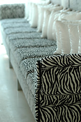 Image showing Zebra sofa