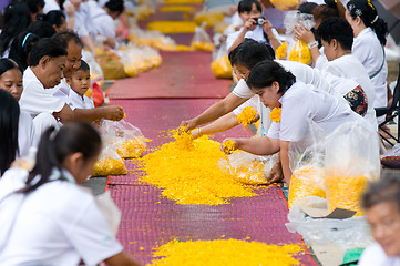 Image showing Dhammachai Dhutanga Pilgrimage Walk, 2013 in Bangkok