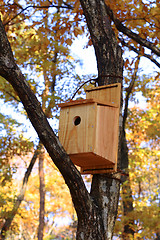 Image showing Birds house