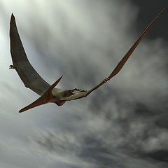 Image showing Pteranodon