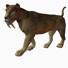 Image showing Sabertooth