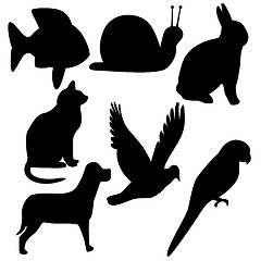 Image showing Symbols