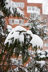 Image showing Snowstorm.