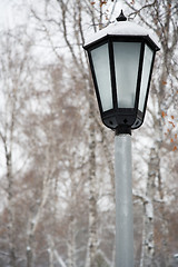 Image showing After snowstorm. Street lamp