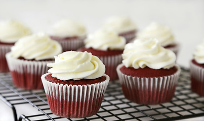 Image showing Red velvet cupcakes