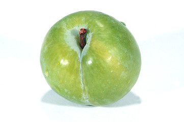 Image showing green plum