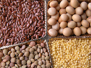 Image showing seeds