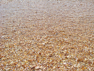 Image showing Background from sand and cockleshells