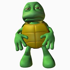 Image showing Turtle Boy -Bummer