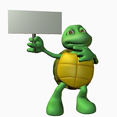 Image showing Turtle Boy -Look Here