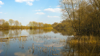 Image showing The flood on the river in the spring