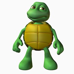 Image showing Turtle Boy -Standing