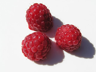 Image showing rasberries