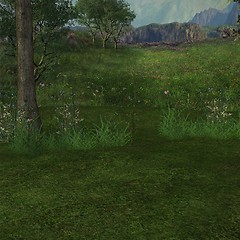 Image showing Forrest Background