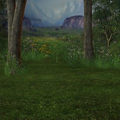 Image showing Forrest Background