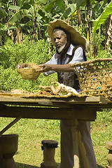 Image showing Traditional healer