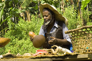 Image showing Traditional healer