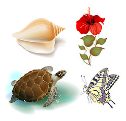 Image showing set of realistic tropical icons