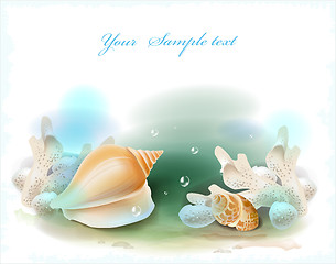 Image showing background with seashells and corals