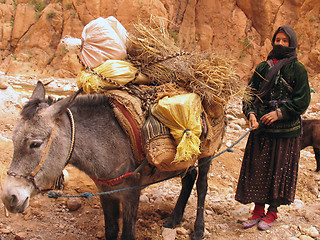 Image showing Arab woman with donkey